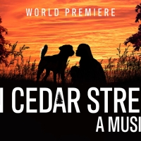 World Premiere Musical ON CEDAR STREET & More Set for Berkshire Theatre Group 2023 Su Photo