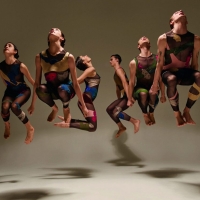 Stephen Petronio Company Announces Online Programming and More Video