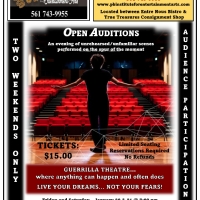 The Palm Beach Institute for the Entertainment Arts Presents OPEN AUDITIONS Photo