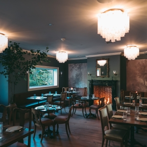 Review: ALLENDALE SOCIAL-Absolutely Superb Photo