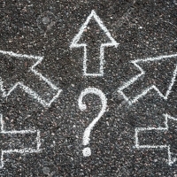 Student Blog: Tips To Select A Show