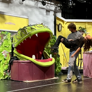 LITTLE SHOP OF HORRORS To Open At Gateway In Somers Point Photo