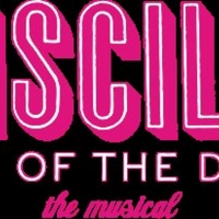Mercury Theater Chicago Announces Cast Of PRISCILLA QUEEN OF THE DESERT