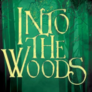 Feature: INTO THE WOODS at Mezzo Theatrical Productions Photo