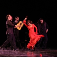 Omayra Amaya Premiere's VELADA FLAMENCA at The Dance Complex in February Photo