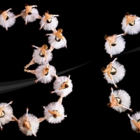 Sarasota Ballet Announces 30th Anniversary Season