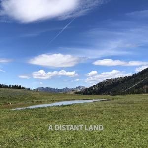 Photos: Rich Halley to Release A DISTANT LAND via Pine Eagle Records Photo