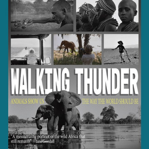 LA FEMME International FF to Dedicate Special Screening To The Late Jane Goodall Photo