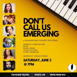 DON'T CALL US EMERGING: A SONGWRITERS CONCERT to Take Place at The Kraine Theatre Photo