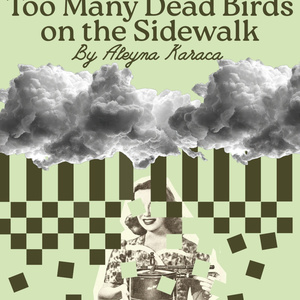 TOO MANY DEAD BIRDS ON THE SIDEWALK to Make Off-Broadway Debut at SheNYC Festival Photo