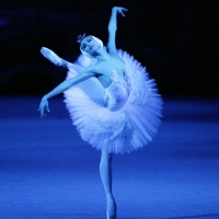 The Lark Theater Presents 'Bolshoi Ballet's SWAN LAKE Photo