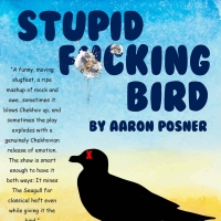 Ophelia's Jump Presents STUPID F**KING BIRD By Aaron Posner Photo