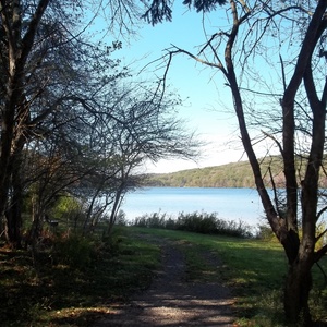 Student Blog: How Life Has Changed