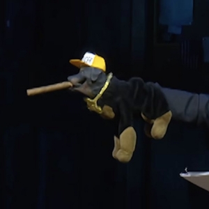Video: Triumph the Insult Comic Dog Joins GUTENBERG! THE MUSICAL Photo