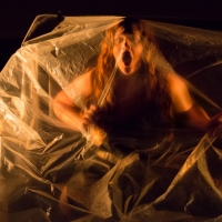 The Obscura Factory Presents AMP THE ELECTRIFYING STORY OF MARY SHELLEY Photo