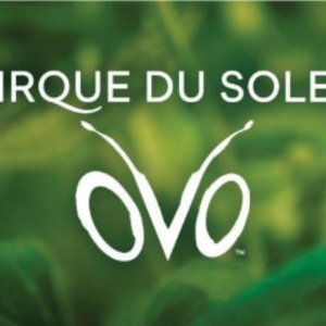 Cirque du Soleil presenta OVO en Madrid en 2026 Photo