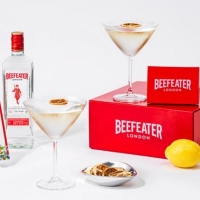 BEEFEATER'S MARTINIS WITH MOM and Free Kits