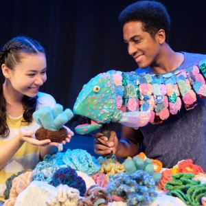 Honolulu Theatre For Youth Announces Opening of UNDER THE BLUE Video