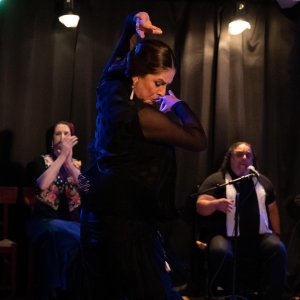 EL RINCÓN SERIES FALL 2025 Comes to Theatre Flamenco SF