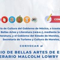 Lanzan Convocatoria Para El Premio Bellas Artes De Ensayo Literario Malcolm Lowry 202 Video