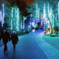 PHILADELPHIA ZOO Lights Up the Holidays with More that a Million Shimmering Lights Photo