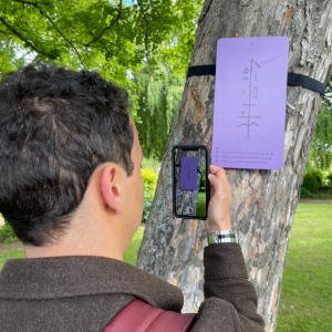 The City's Trees Will be Alive With The Sound of Music this August Bank Holiday Photo