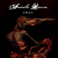 Suicide Queen Premiere New Song 'Swan' Photo