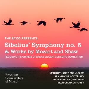 The Brooklyn Conservatory Community Orchestra Presents Sibelius, Mozart, Shaw and Stu Photo