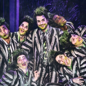 Review: BEETLEJUICE The Musical Delivers a Deadly Good Time in Vancouver Photo