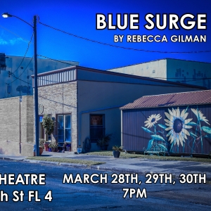 A Staged Reading Of Rebecca Gilman's BLUE SURGE is Coming to Chain Theatre Photo
