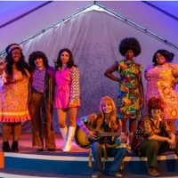 BWW Review: BEEHIVE: THE 60S MUSICAL at New Village Arts Photo