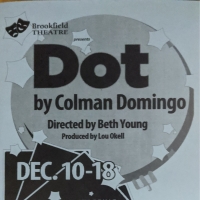 BWW Review: A Lesson Learned with DOT at Brookfield Theatre Photo