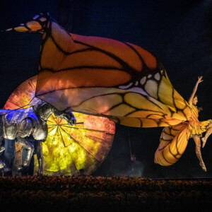 Review: Cirque du Soleil’s LUZIA Dazzles Ottawa With a Waking Dream of Mexico Photo