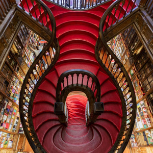 Dua Lipa and Livraria Lello Launch The Manifesto Library Dedicated to Banned and Cens Photo