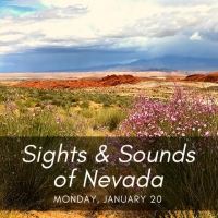 2020 Las Vegas Natural History Museum And Las Vegas Philharmonic Music Van Kick-Off N