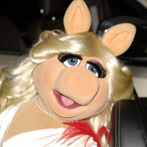 Cole Escola Writing Miss Piggy Movie, Jennifer Lawrence Says
