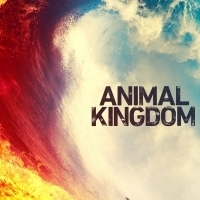TNT Renews ANIMAL KINGDOM for Season Five Photo