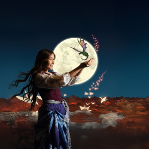 Stages Theatre Company To Present THE GIRL WHO DRANK THE MOON Video