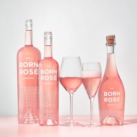 BORN ROSE Launches in the United States Photo