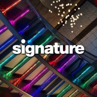 Cast Announced for LIGHT Presented by Signature Theatre's SigWorks Series Photo