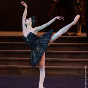 DIVERSION OF ANGELS to Premiere in South Africa at SANDT Legacy of Dance Gala Photo