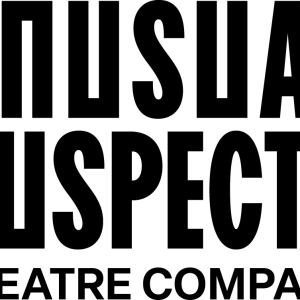 The Unusual Suspects Theatre Co. Appoints Entertainment Executive as Board Chair Photo