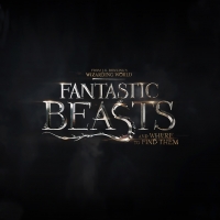 FANTASTIC BEASTS 3 Production Postponed Video