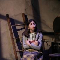 BWW Review: THE DIARY OF ANNE FRANK at Des Moines Playhouse: Letting the Legacy of a  Photo