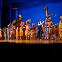 VIDEO: THE LION KING Returns to Broadway- Watch Highlights! Photo