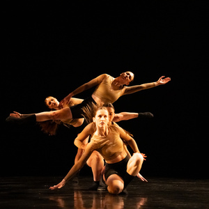 Chicago Dance Groups Will Perform PERSISTENT SPRING at Ruth Page Center Photo