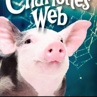 Flat Rock Playhouse Announces Audition For CHARLOTTE'S WEB