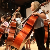 Musicopia String Orchestra Will Hold First Concert of the Season in February Photo