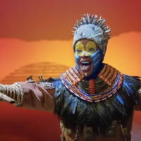 Review: Disney's THE LION KING Wows at the Hollywood Pantages