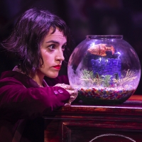 BWW Review: AMELIE THE MUSICAL, Nuffield Southampton Theatres